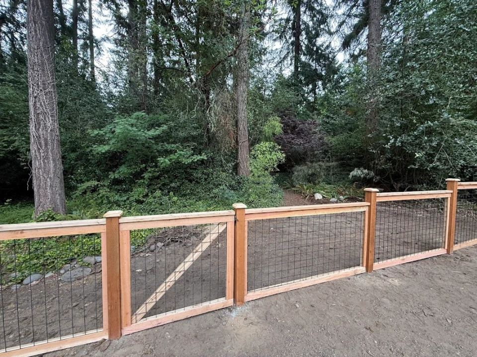 Best Uses and Applications of Chain Link Fencing in Milton, WA