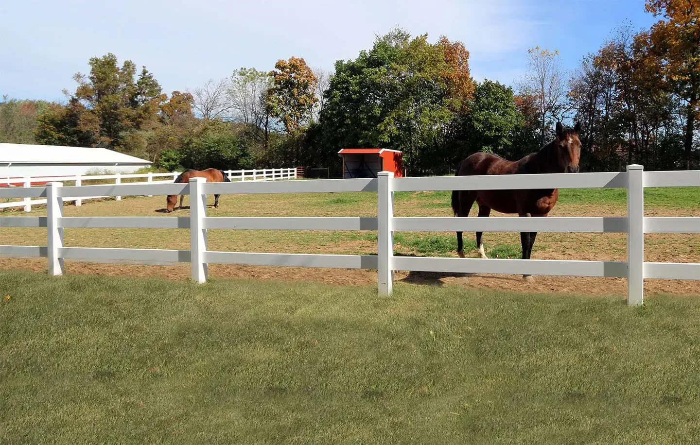 Wood Fence Maintenance Tips: Staining & Sealing Guide