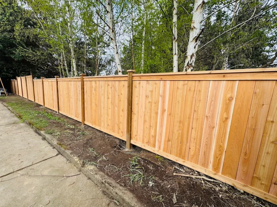 Straight wooden board privacy fence with top cap rails running along a sidewalk backed by trees