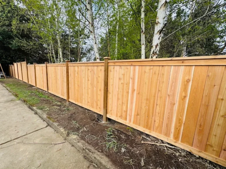 Cedar vs. Pressure-Treated Wood Privacy Fences: What’s the Difference?